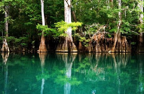 Morrison Springs
