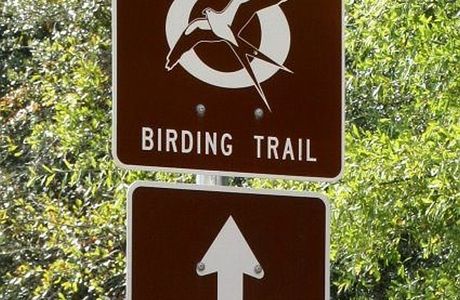 Great Florida Birding and Wildlife Trail