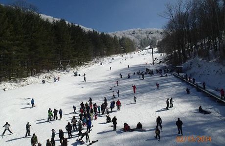 Wolf Ridge Ski Resort