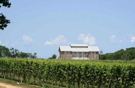 Kontokosta Winery