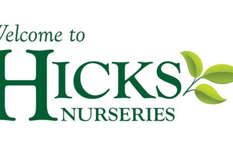 Hicks Nurseries
