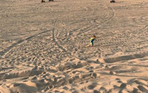 Sandlake Recreation Area 1