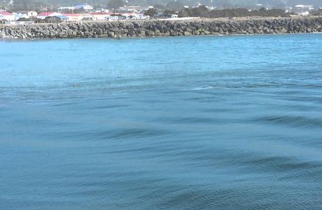 Rogue River Apple Works