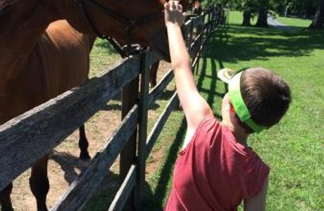 Ryerss Farm for Aged Equines