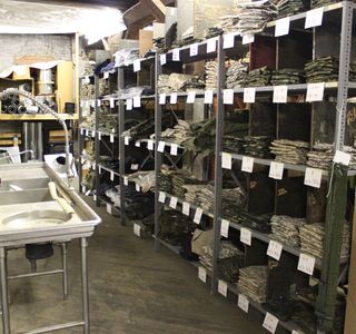 Kemner's Surplus Warehouse