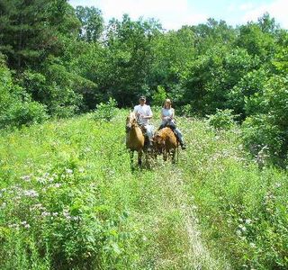 Smoke Rise Ranch