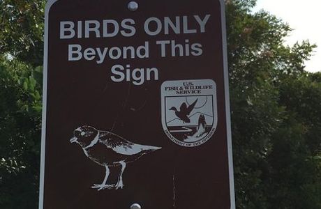 Cape May National Wildlife Refuge