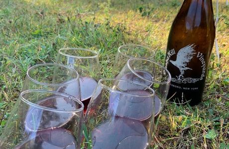 Bashakill Vineyards
