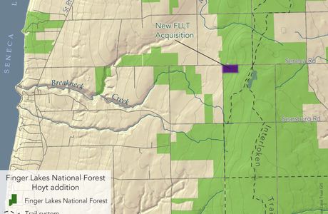 Finger Lakes National Forest