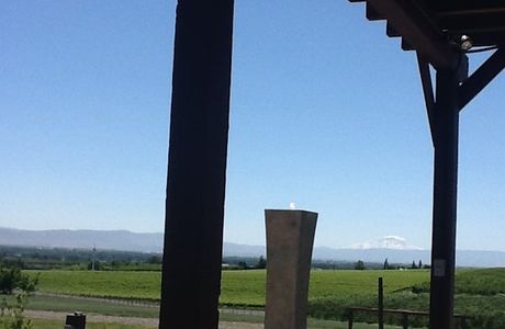 VanArnam Vineyards