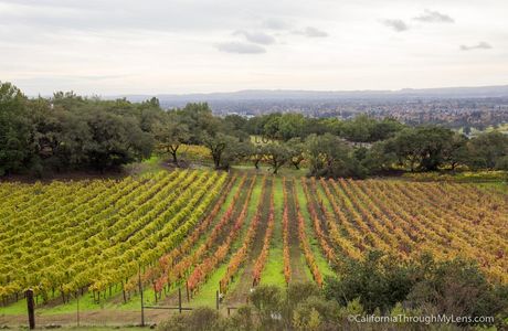 Whisper Ridge Winery