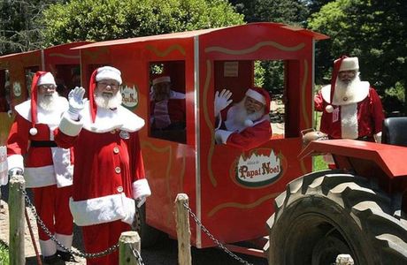 AgroPet Noel