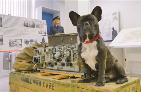 The Secrets of Radar Museum