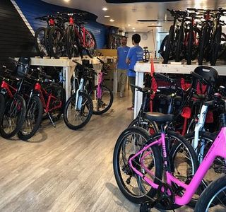 Freedom Bikes