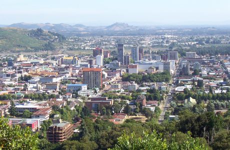 Survip Temuco