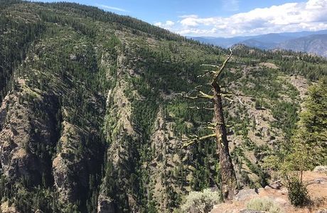 Canyon View Trail