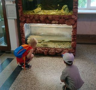The Aquarium and the Black Sea Museum
