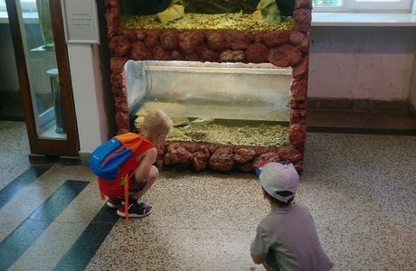 The Aquarium and the Black Sea Museum