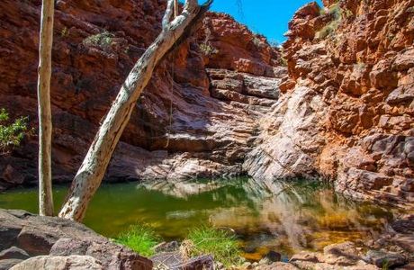 Trephina Gorge Nature Park