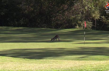 Kooralbyn Valley Golf Course