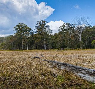 Mummel Gulf National Park