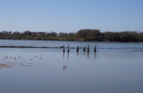 Bellinger Heads State Park