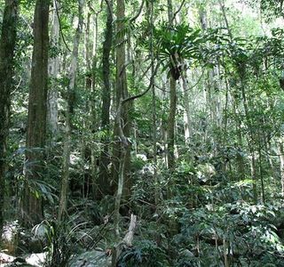 Boorganna Nature Reserve