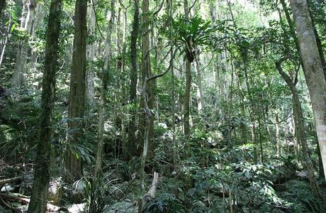Boorganna Nature Reserve