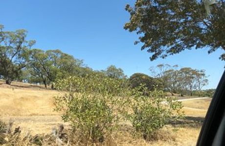 Barossa and Light Cab Service