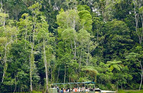 Rainforestation Nature Park