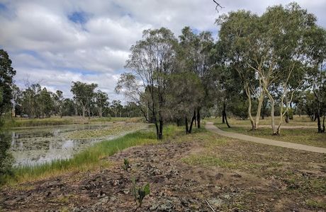 Dogwood Creek Walking Track