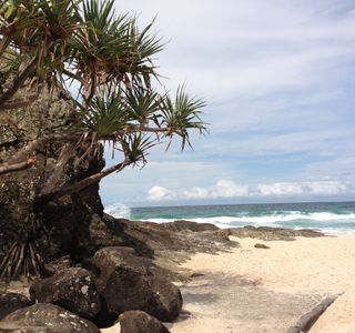 Currumbin Beach