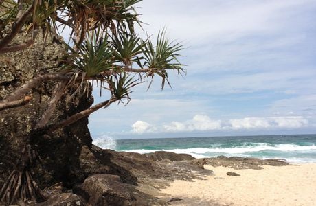 Currumbin Beach