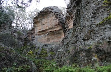 Blackfellows Hand Cave