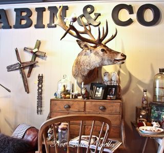 Cabin & Co