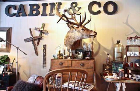 Cabin & Co