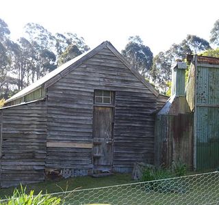Davidson Whaling Station