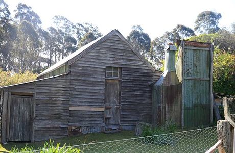 Davidson Whaling Station
