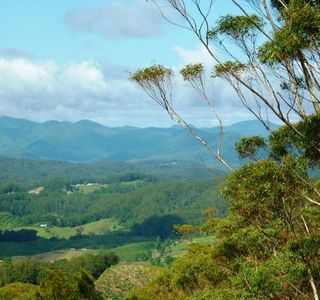 Bruxner Park Flora Reserve