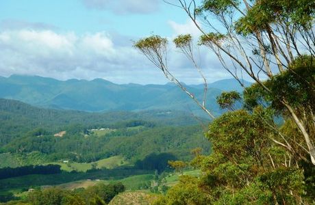 Bruxner Park Flora Reserve