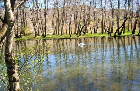 Driloni National Park