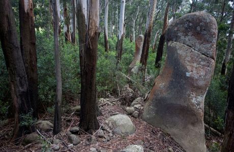 Gulaga National Park