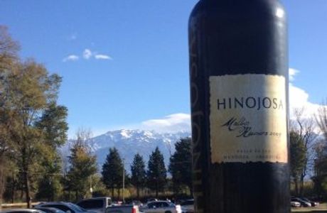 Pergolas de Vista Flores