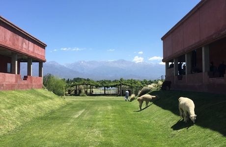 Ernesto Catena Vineyards