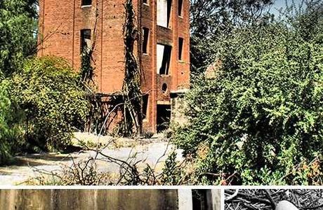 Lincoln's Oakbank Brewery Building