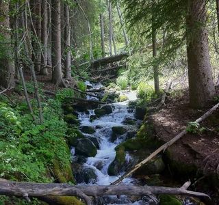 Stony Creek Nature Reserve