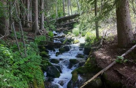 Stony Creek Nature Reserve
