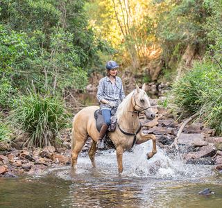 Southern Cross Horse Treks