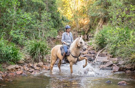 Southern Cross Horse Treks