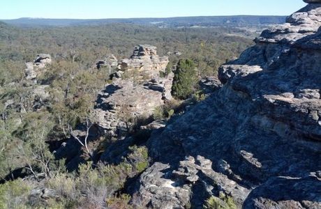 Munghorn Gap Nature Reserve
